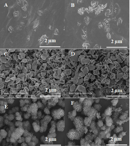 Preparation method of DNA nano flowers drug for targeted regulation of browning of white fat