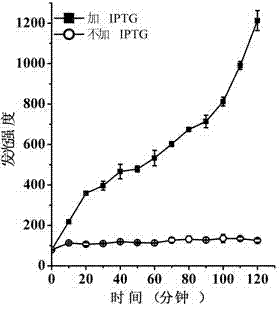 Lyase of self-cleaving escherichia coli, and applications thereof