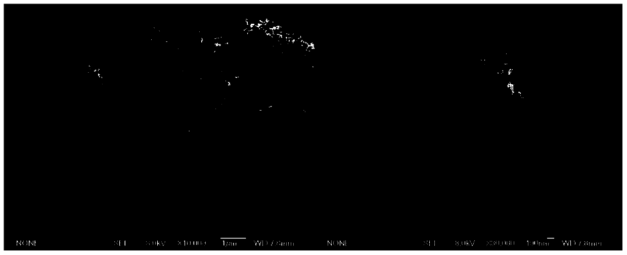 a g-c  <sub>3</sub> no  <sub>4</sub> /tio  <sub>2</sub> Nanowire-Assembled Structured Photocatalysts