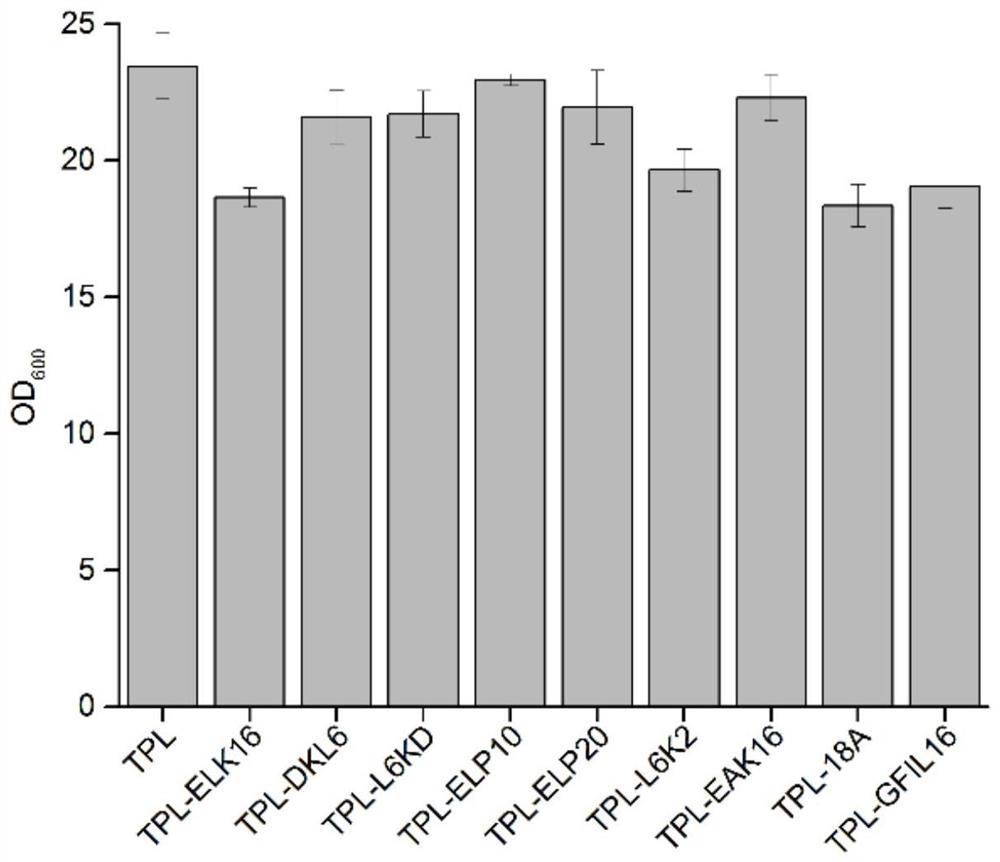 Escherichia coli for expressing tyrosine phenol lyase active inclusion body and application of escherichia coli