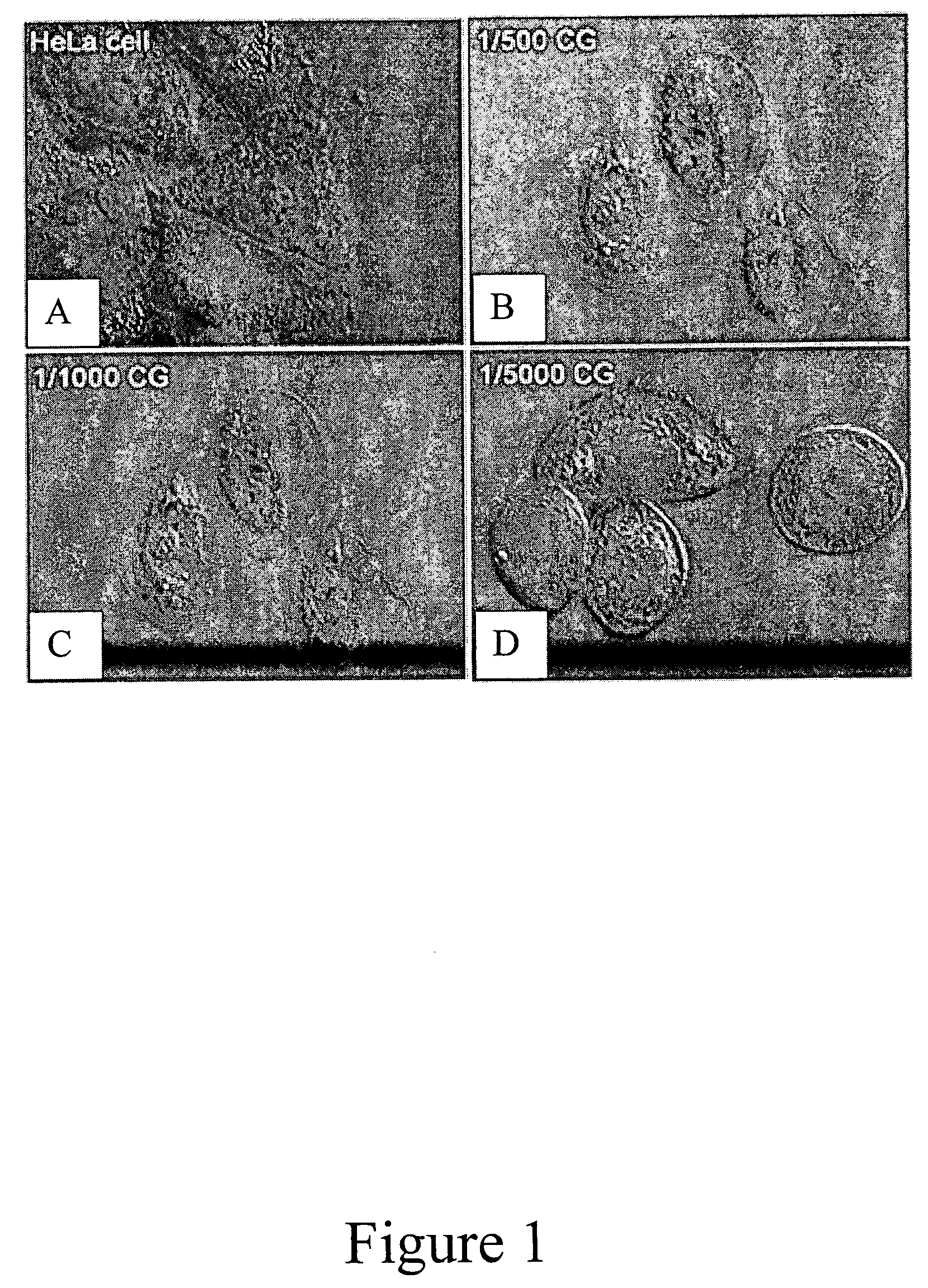 Use of abietic acid and derivatives thereof for inhibiting cancer