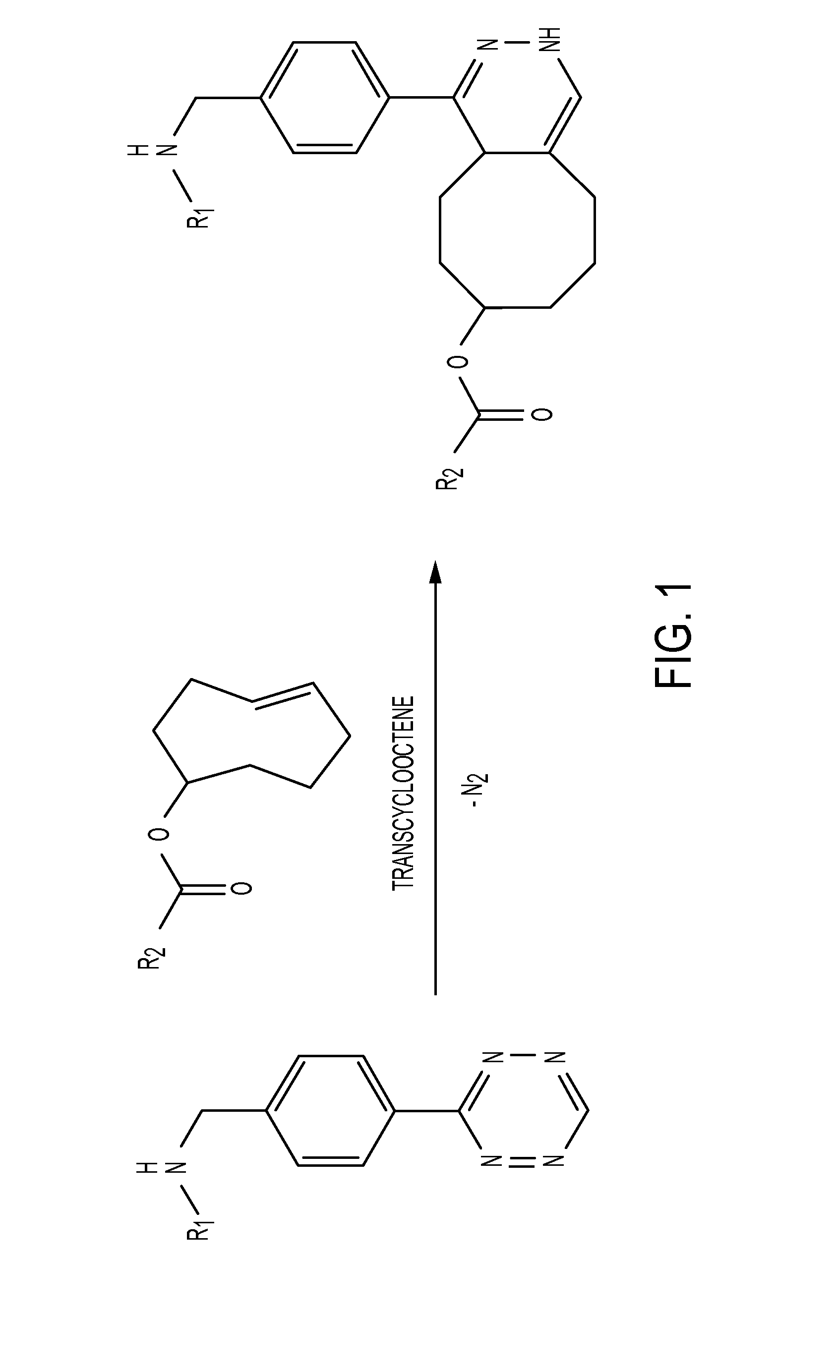 Radioligands for pretargeted pet imaging and methods of their therapeutic use