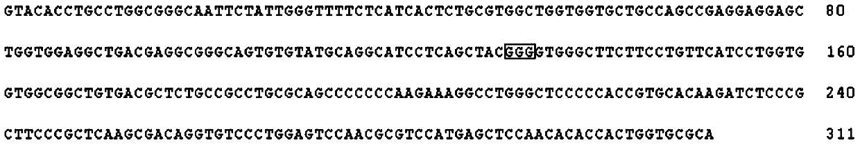 Method and oligonucleotide for detecting FGFR3 gene G380R site mutation