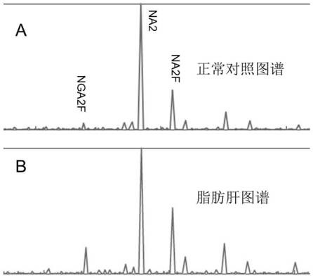 Fatty liver detection reagent and application thereof in fatty liver detection