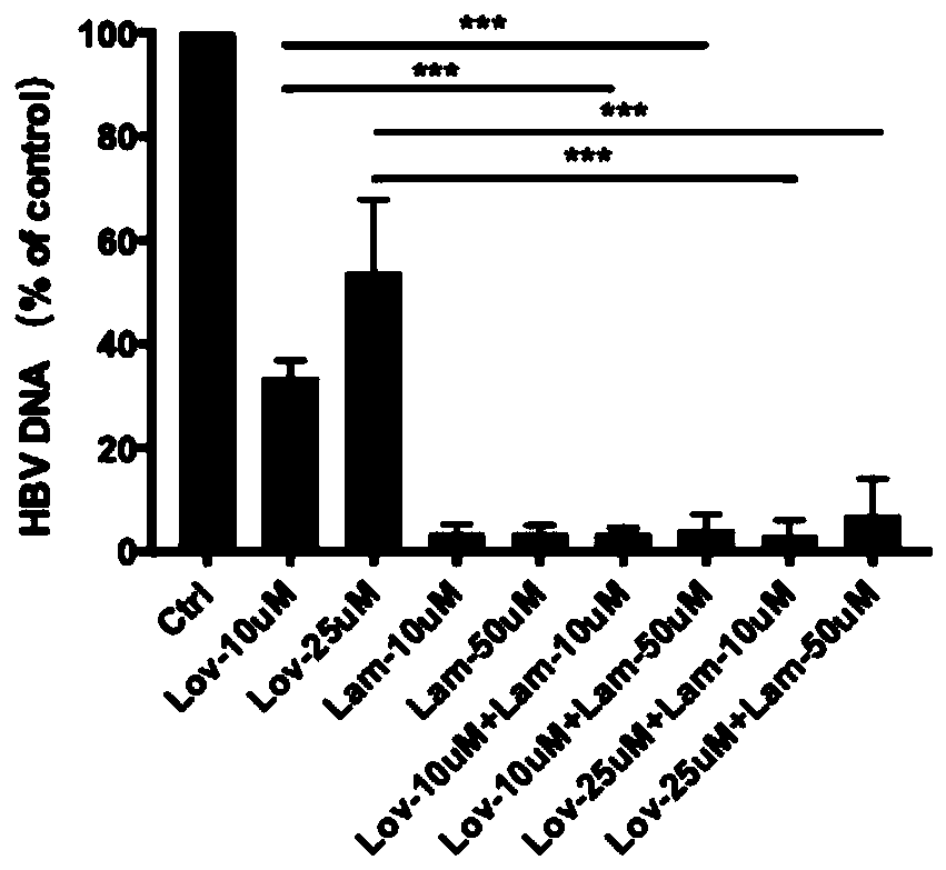 Combined medicine for treating HBV infection