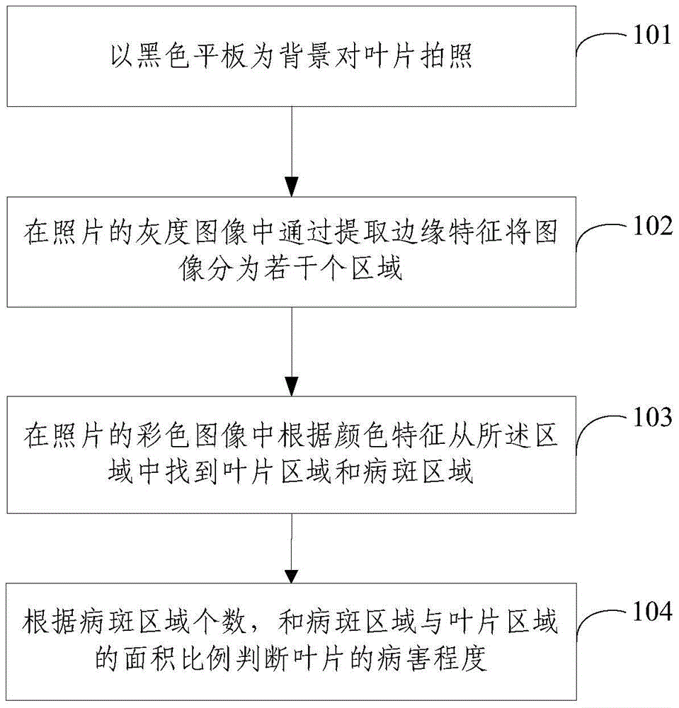 Method and system for obtaining leaf disease degree in open field environment