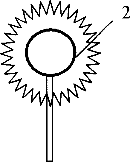 Microwave sulfur lamp with rised color rendering performance