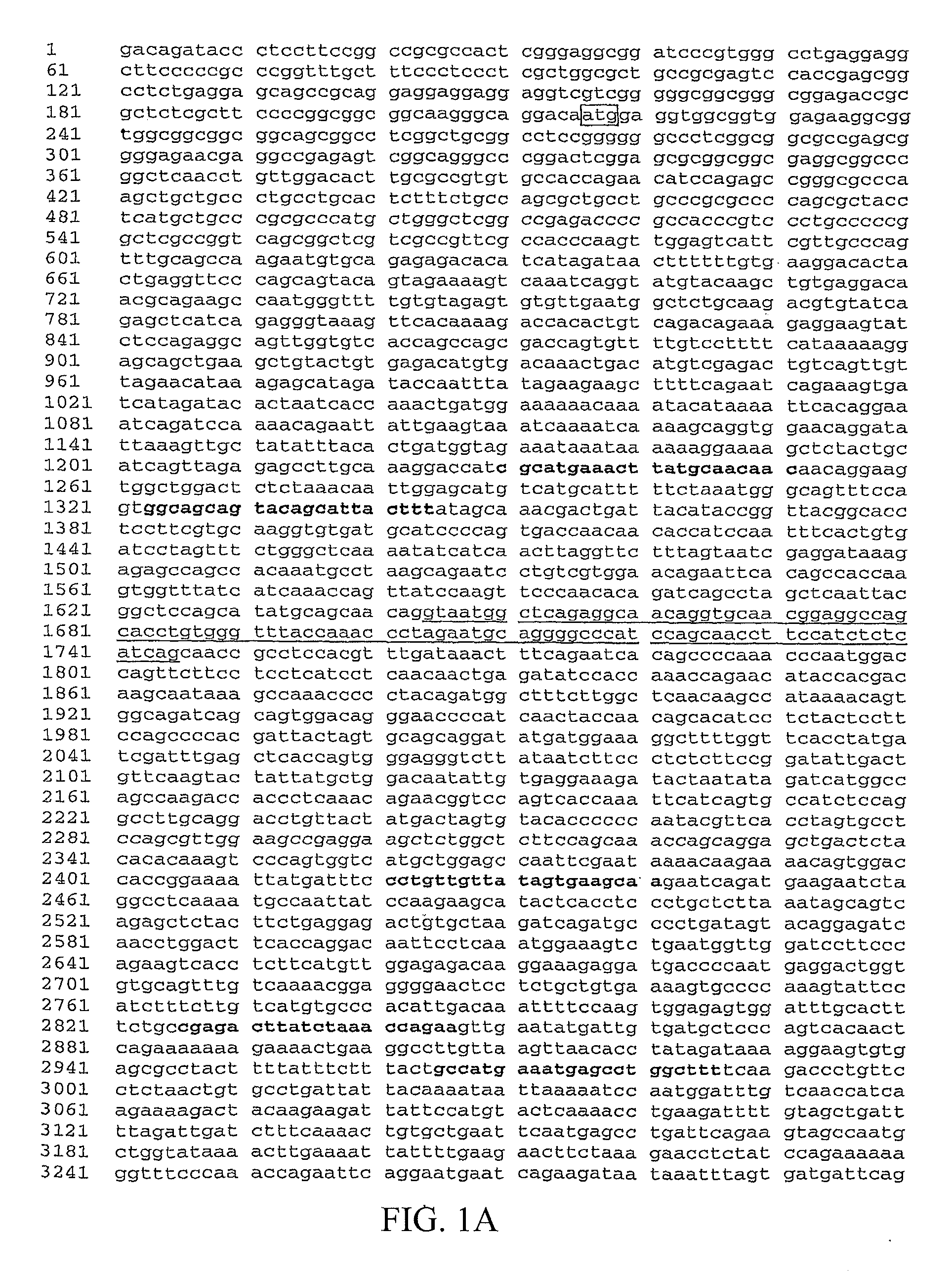 P53 modulator and cancer target