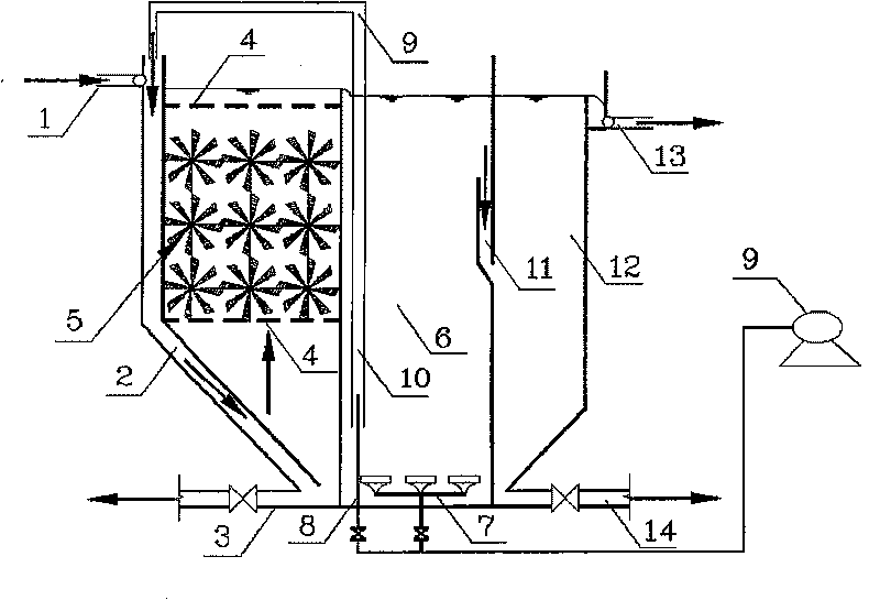 Method for lichenism system purification and short-term contact oxidation comprehensive processing sewerage