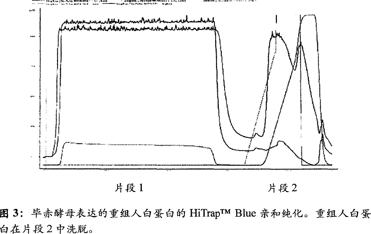 Process for the production of preformed conjugates of albumin and a therapeutic agent