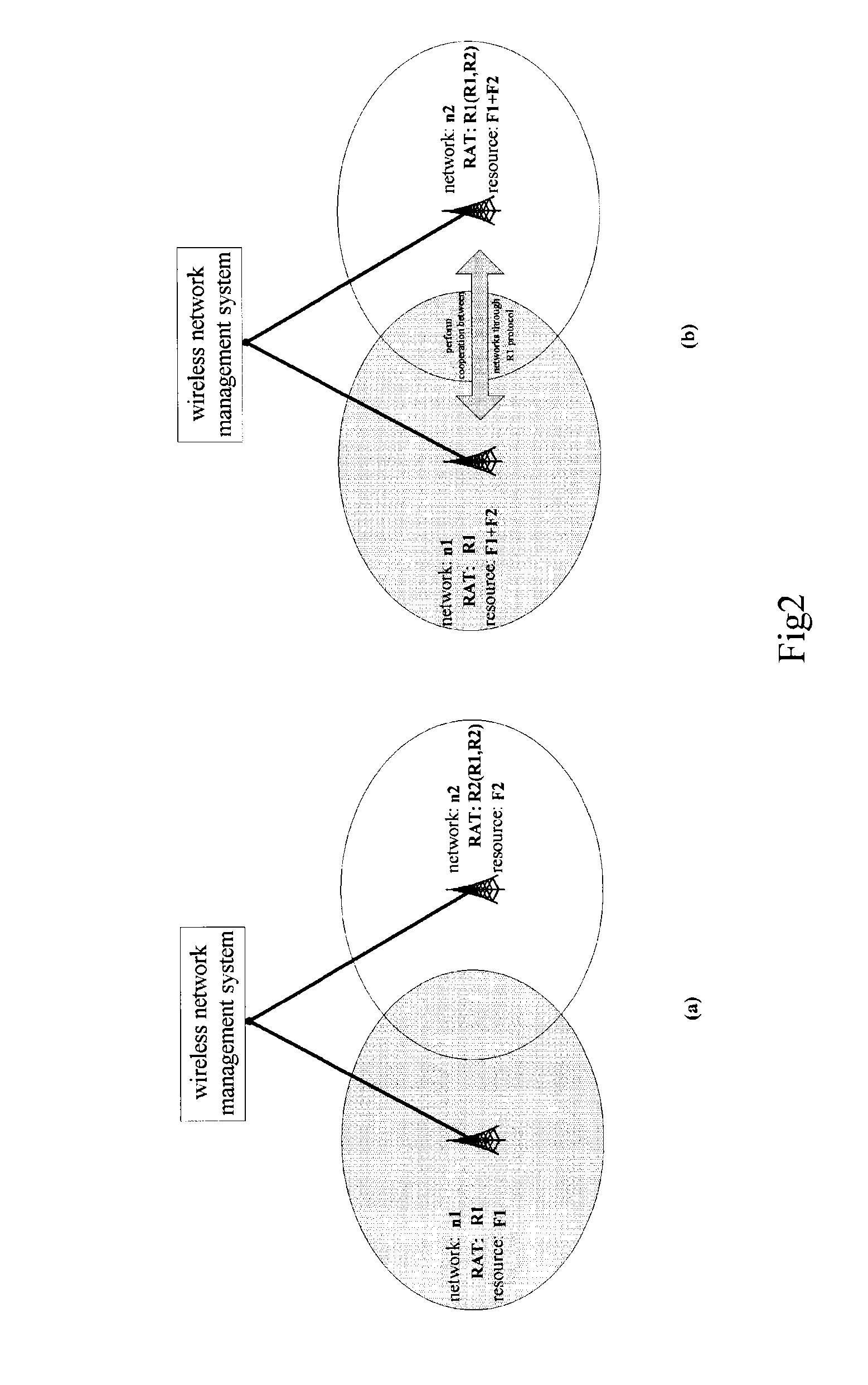 System and method for wireless network management