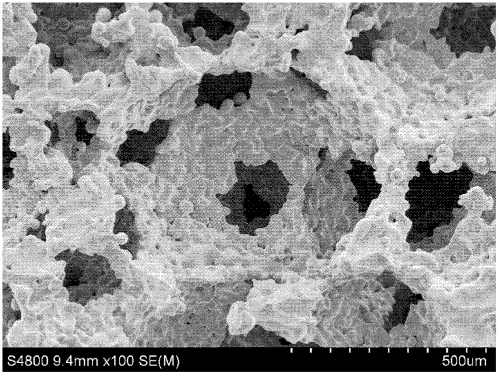 Stent for osteochondral defect repair and preparation method thereof