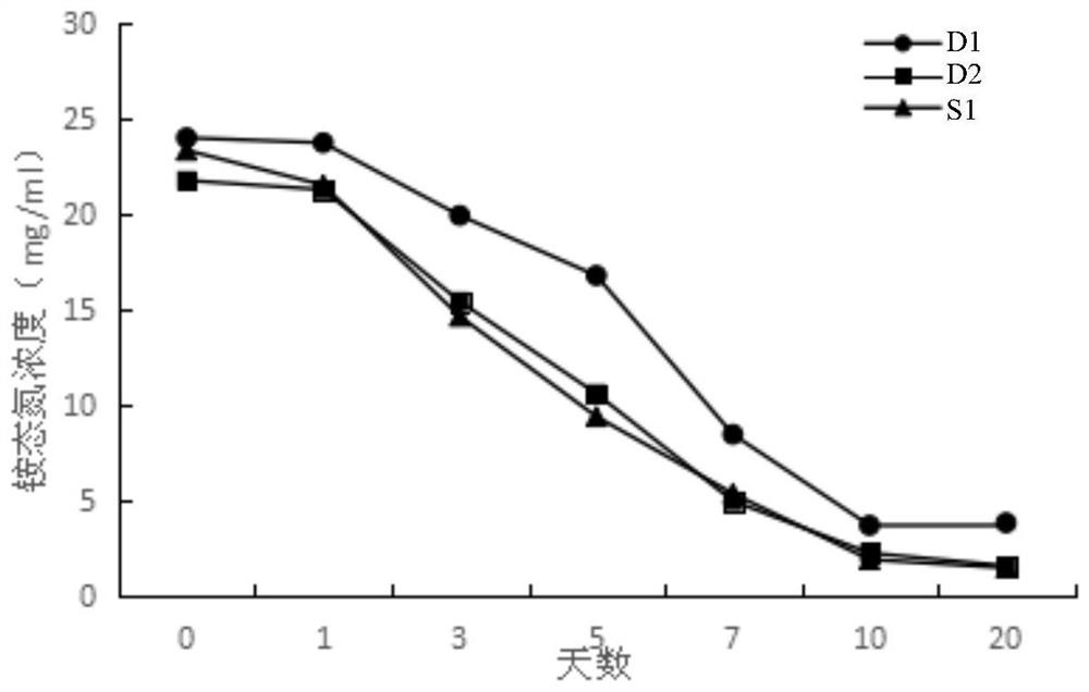 Long-acting water-soluble fertilizer and preparation method thereof