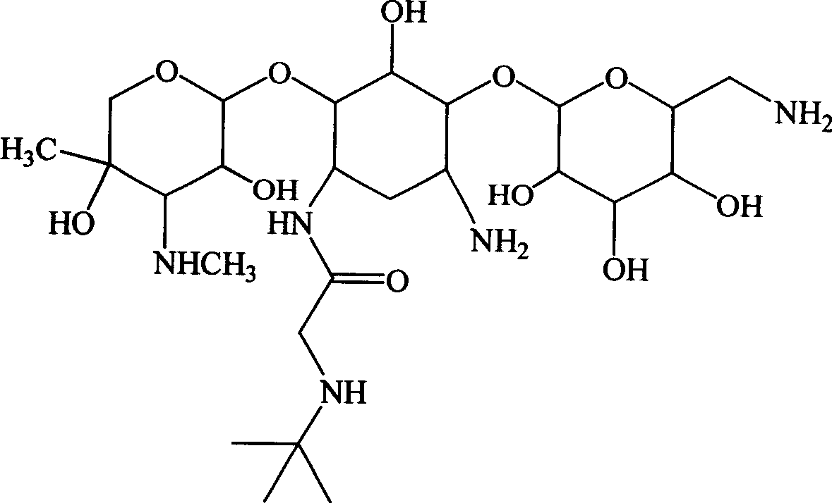 Aminoglycoside derivatives