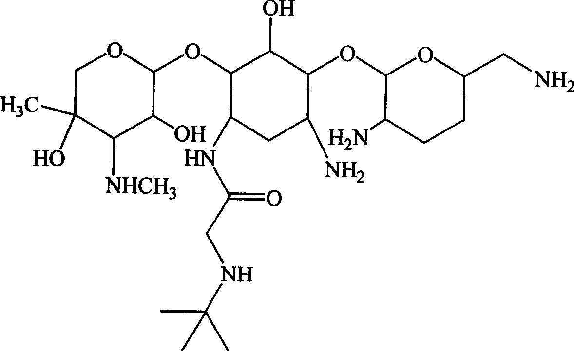 Aminoglycoside derivatives