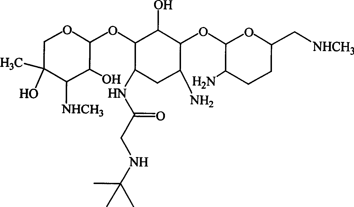 Aminoglycoside derivatives