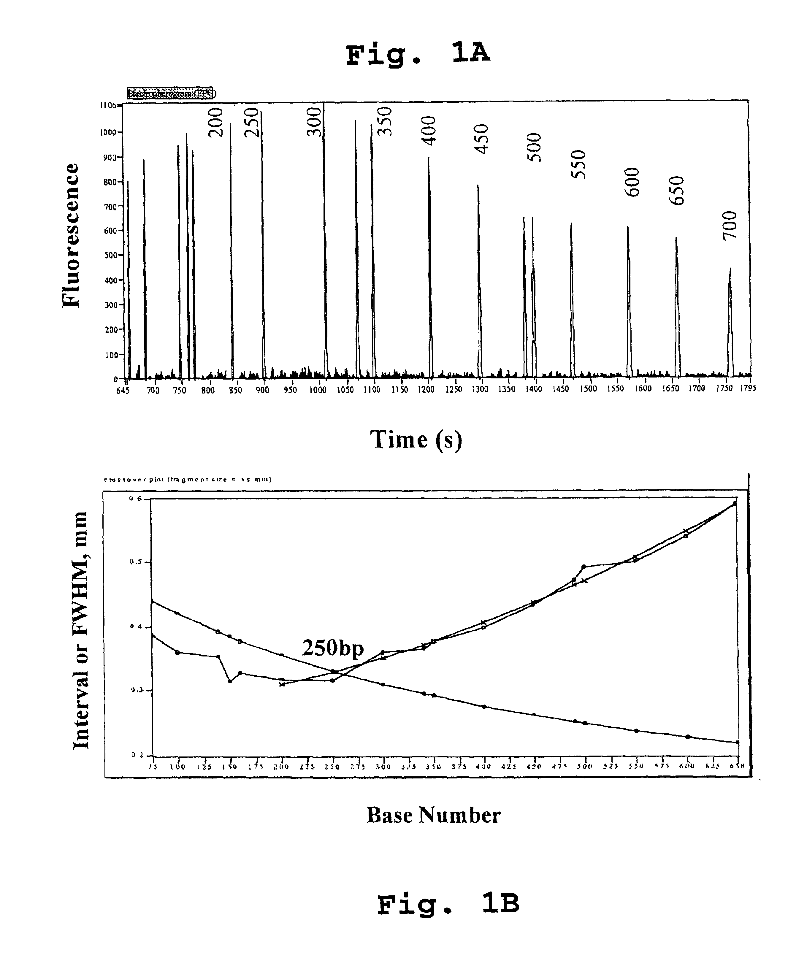 Dynamic coating with linear polymer mixture for electrophoresis