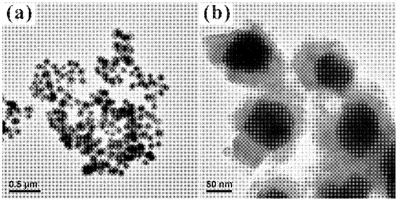 Core shell nanometer crystal of gold and copper-indium-diselenide and preparation method of core shell nanometer crystal