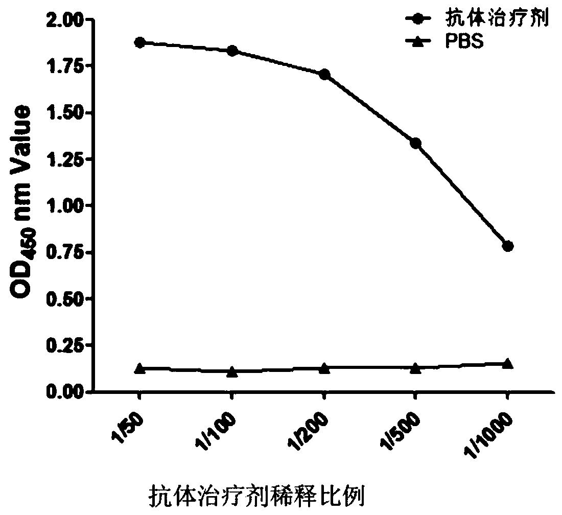 Antibody for inhibiting replication of PRRS virus, expression vector and therapeutic agent