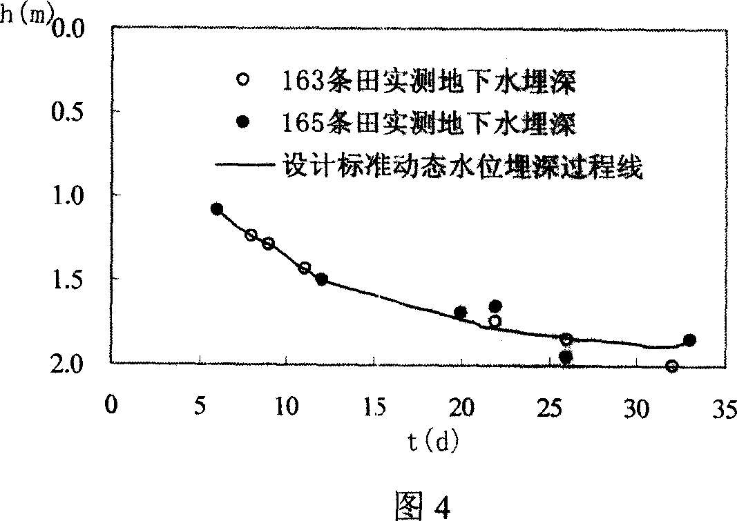 Stage and step dynamic control agricultural field drainage design method