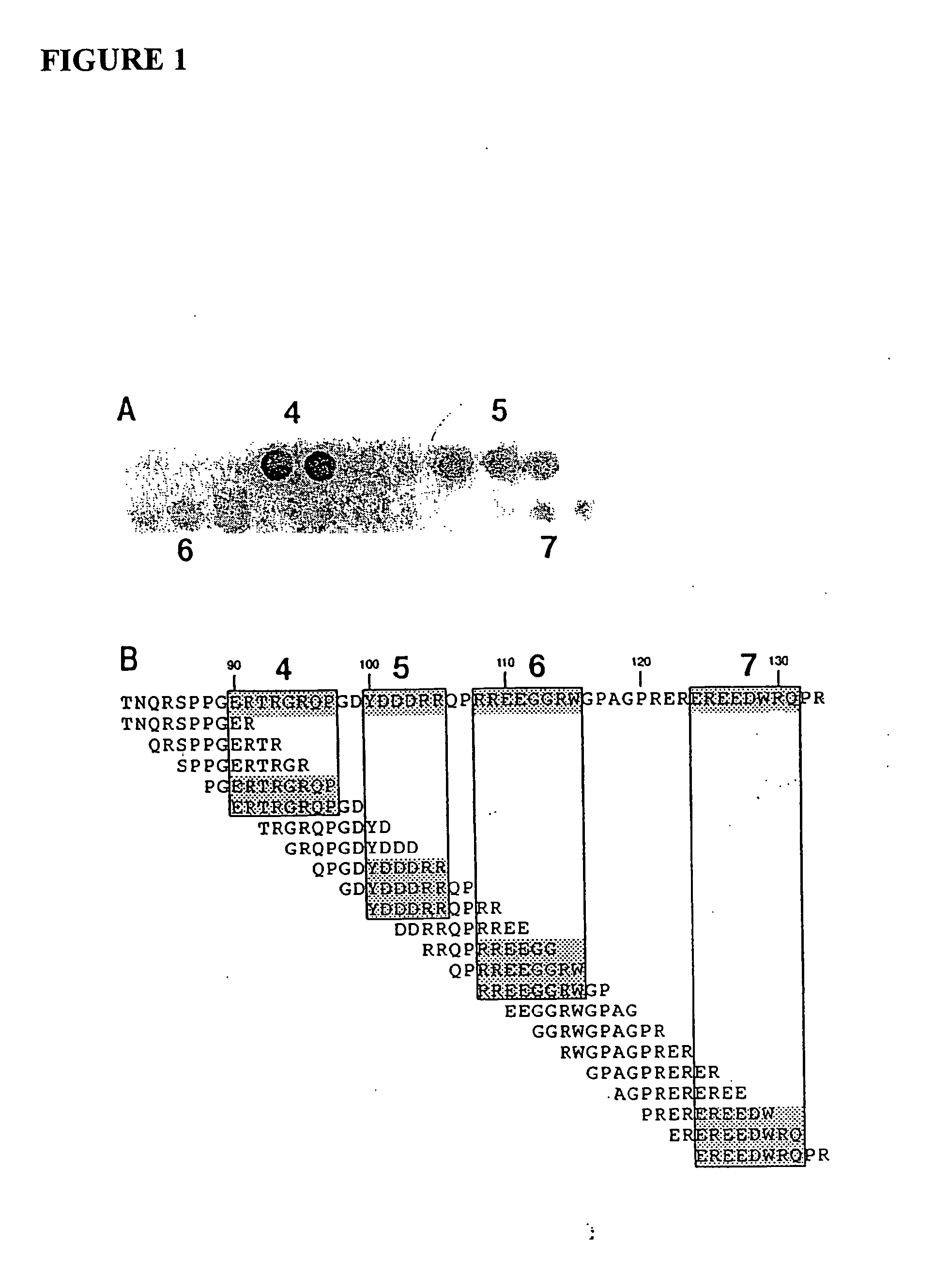 Methods and reagents for decreasing clinical reaction to allergy