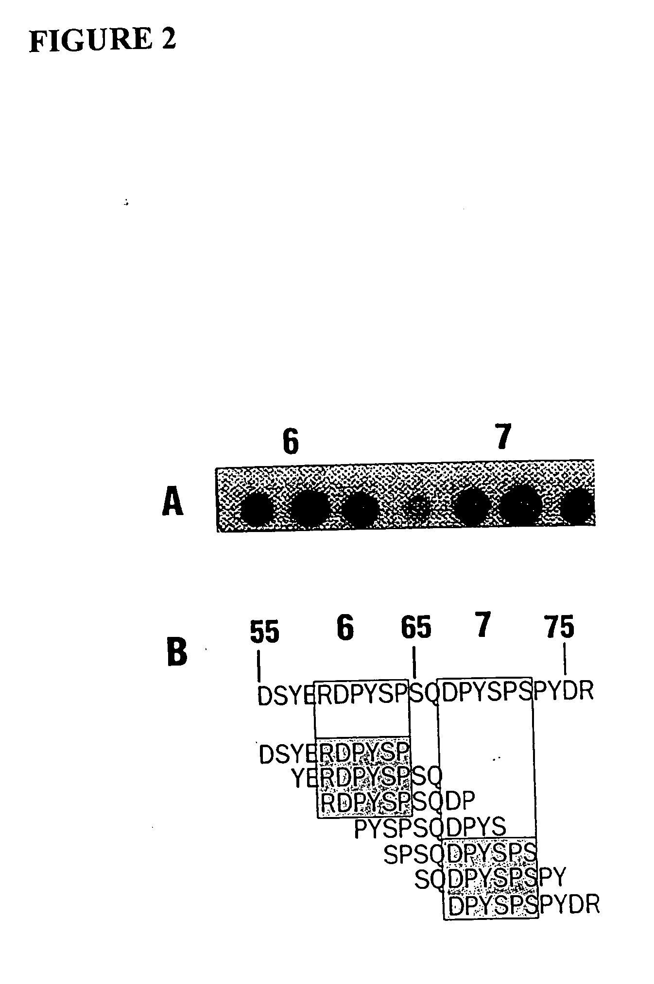 Methods and reagents for decreasing clinical reaction to allergy