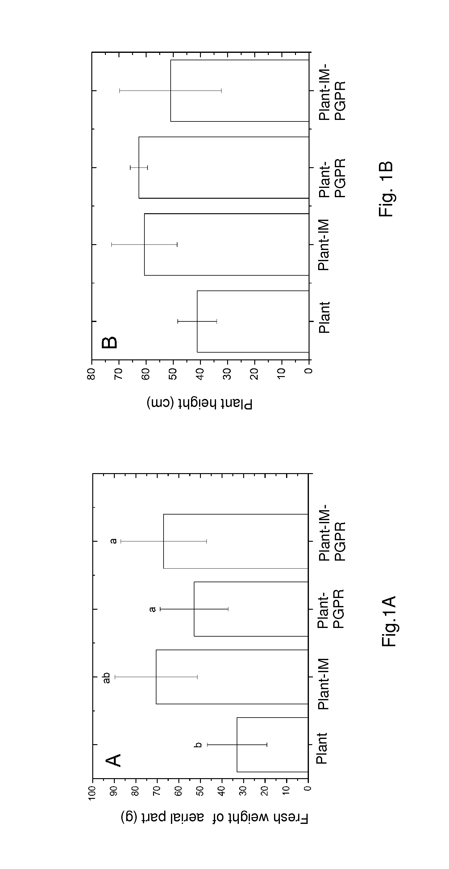 Enhanced combination method for phytoremediation of petroleum contaminated soil by Impatiens balsamina L. associated with the indigenous microorganisms