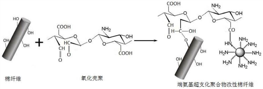 A kind of preparation method of environment-friendly surface modified cotton fiber