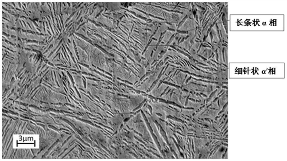 A preparation method and single crystal of β-phase ti2448 biomedical alloy containing α+α′ phase