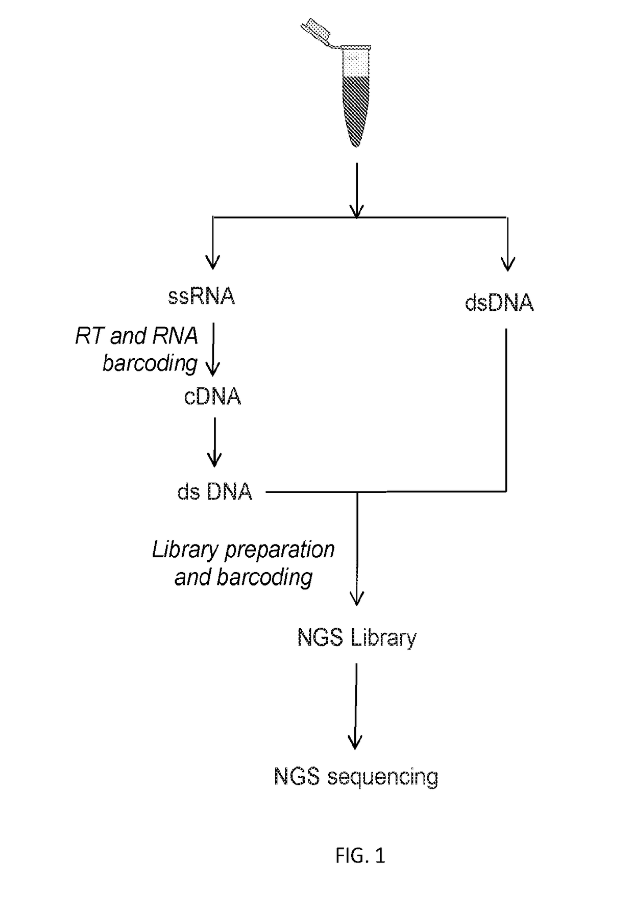 Systems and methods for detecting genetic alterations