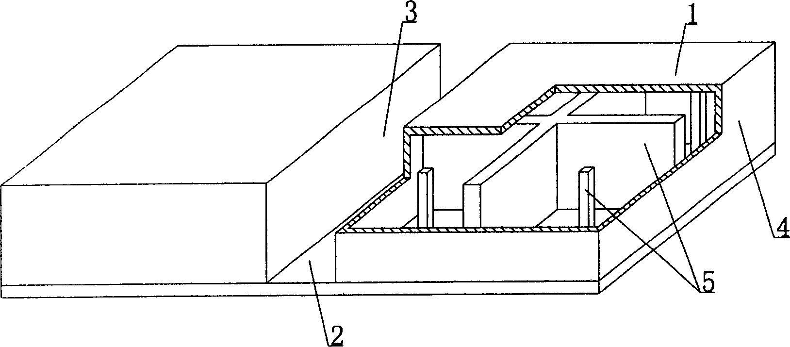 Hollow cavity member