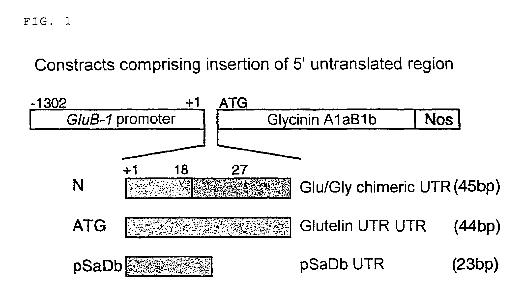 Method of accumulating foreign gene product in plant seed at high level