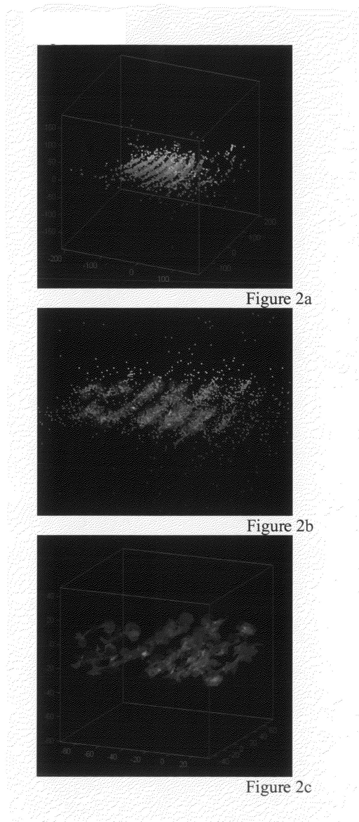 Method for fracture surface extraction from microseismic events cloud