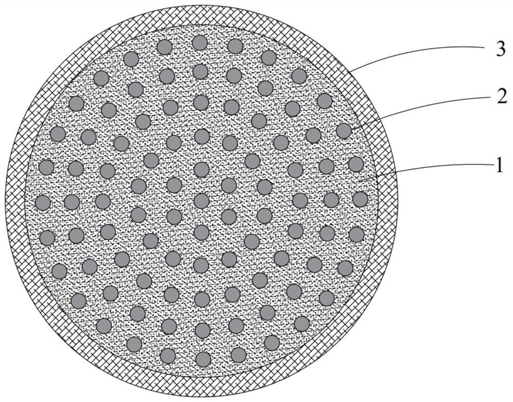 Water purifying agent for coking wastewater treatment and preparation method thereof