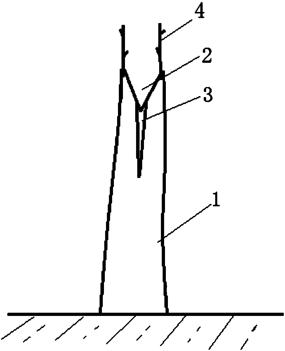 Notching and bark insertion grafting cultivation method of walnut trees
