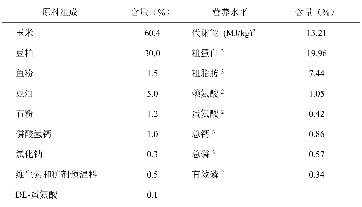 Lactic acid bacteria powder for relieving heat stress of broilers and application thereof