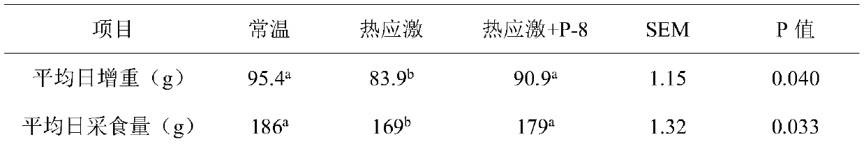 Lactic acid bacteria powder for relieving heat stress of broilers and application thereof