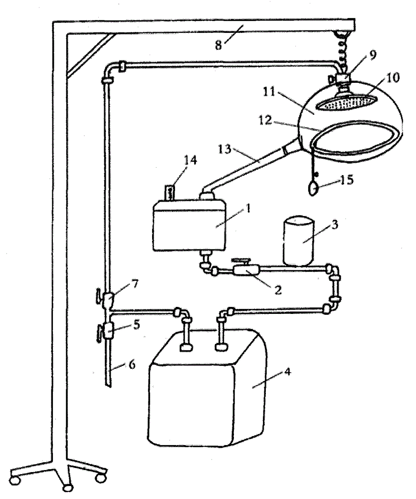 Medicated bath device for alopecia therapy