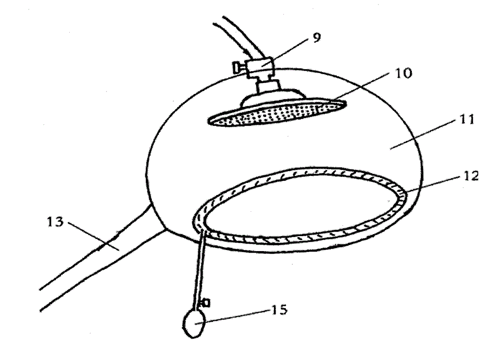 Medicated bath device for alopecia therapy