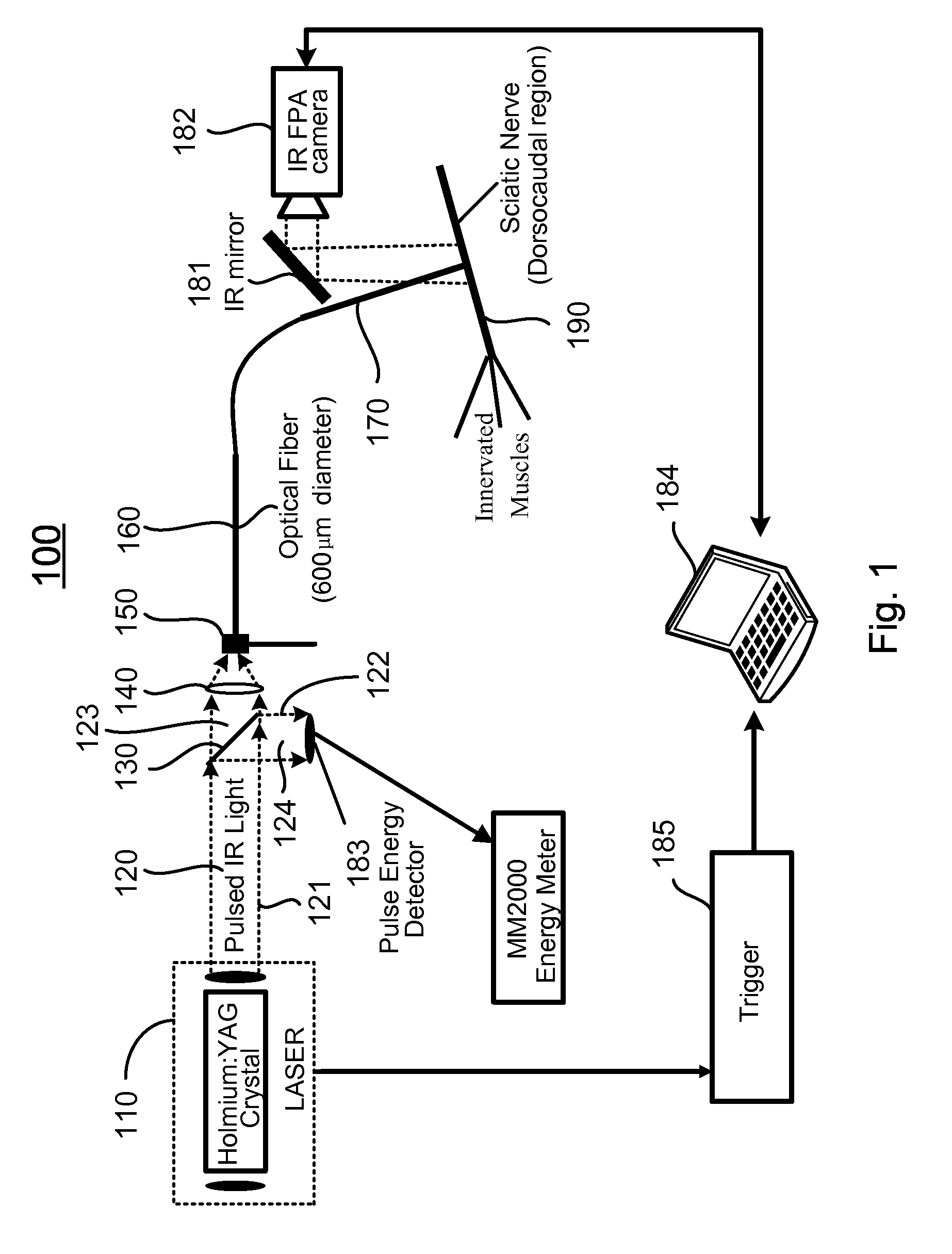 Apparatus and methods for optical stimulation of neural tissues