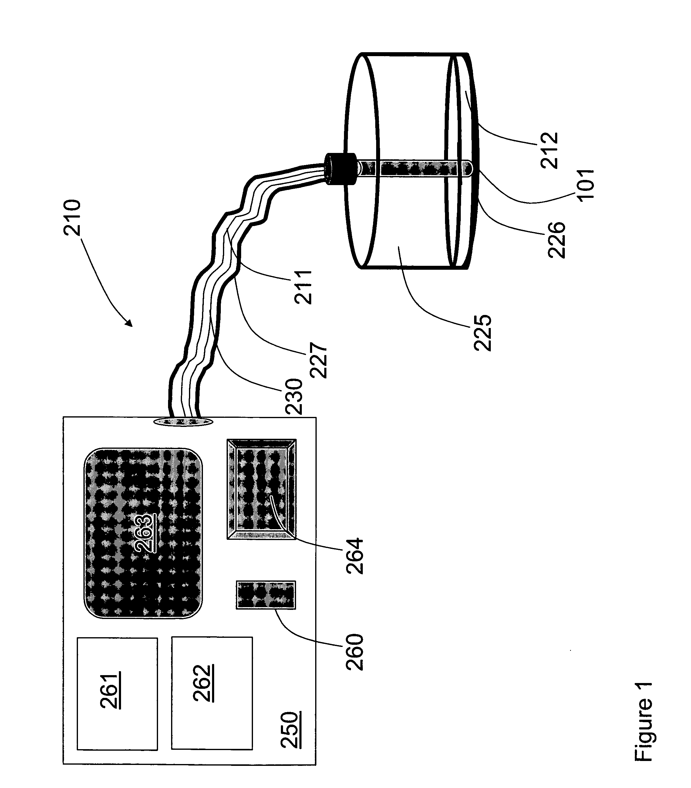 Photoacoustic analyzer of region of interest in a human body