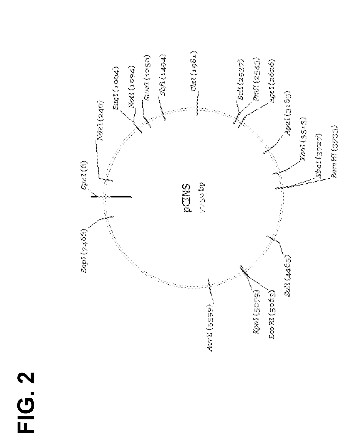 Optimized lentiviral transfer vectors and uses thereof