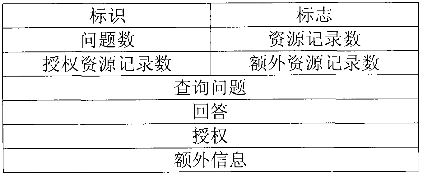 Domain name system (DNS) message processing method and network safety equipment