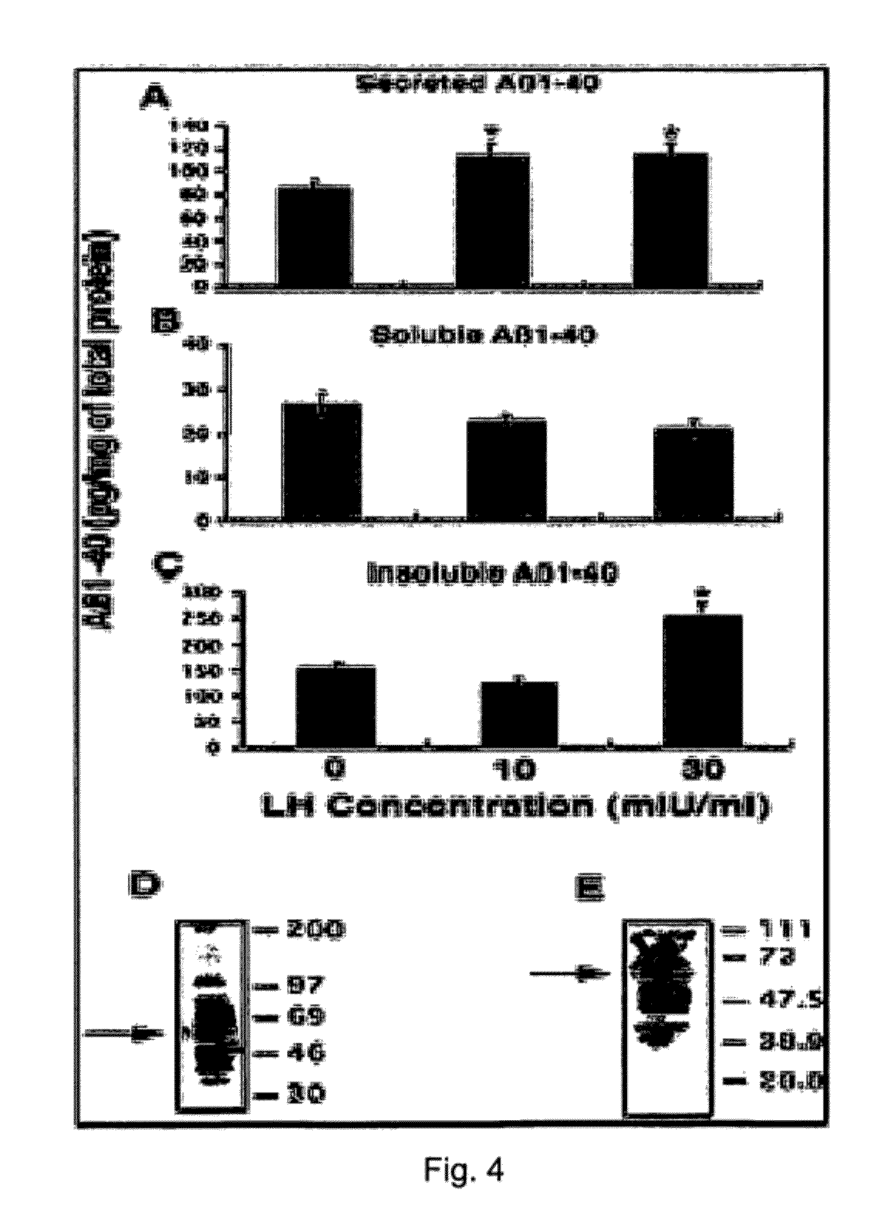 Brain-derived gonadotropins and cognition