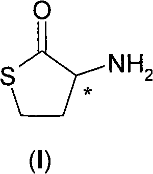 Process for the resolution of homocysteine-thiolactone