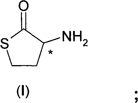 Process for the resolution of homocysteine-thiolactone