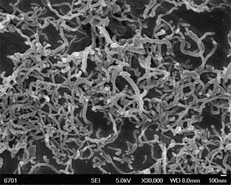 A method for purifying carbon nanotubes by evaporating acid