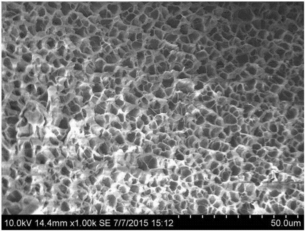 Pineapple residue hemicellulose-based pH-sensitive porous hydrogel and its preparation method and application
