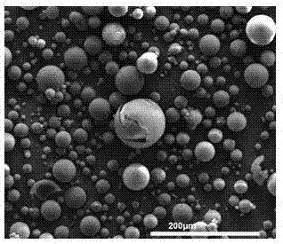 Hollow polymer microsphere profile control agent and preparation method thereof