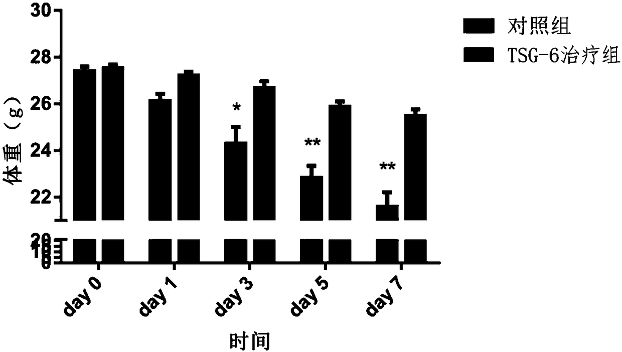 Recombinant human TSG-6 protein, preparation method thereof and application of recombinant human TSG-6 protein in treatment of acute inflammatory diseases